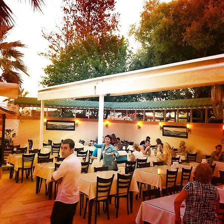 酒店 Blue Bay Bodrum