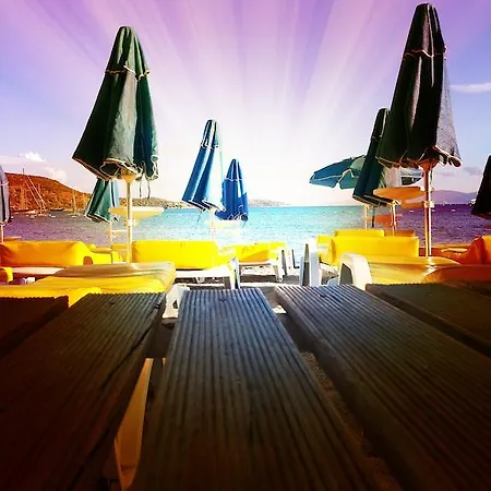 酒店 Blue Bay Bodrum 3*