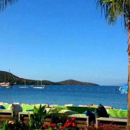 酒店 Blue Bay Bodrum 3*